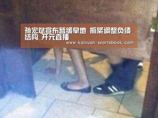 孙宏斌宣布暂缓拿地 抓紧调整负债结构_开元直播(图1) 开元体育