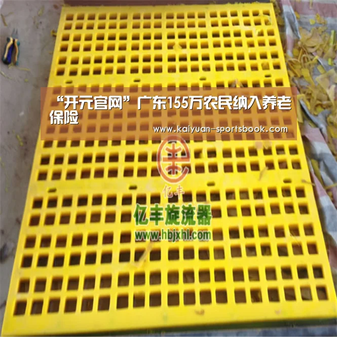 “开元官网”广东155万农民纳入养老保险(图3) 开元直播